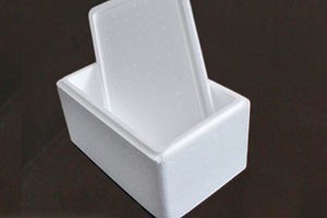 發(fā)泡聚苯乙烯（EPS）泡沫箱定制加工廠(chǎng)